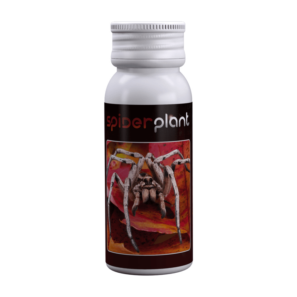 Agrobacterias Spider Plant 15ml