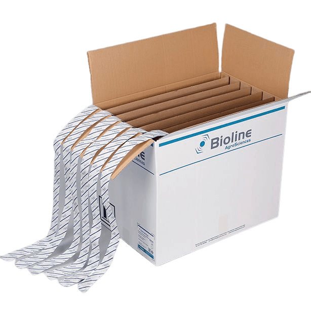 Starskii - Amblyseius Swirskii 6 Bandes 100m 125 000 (Mouche Blanche)