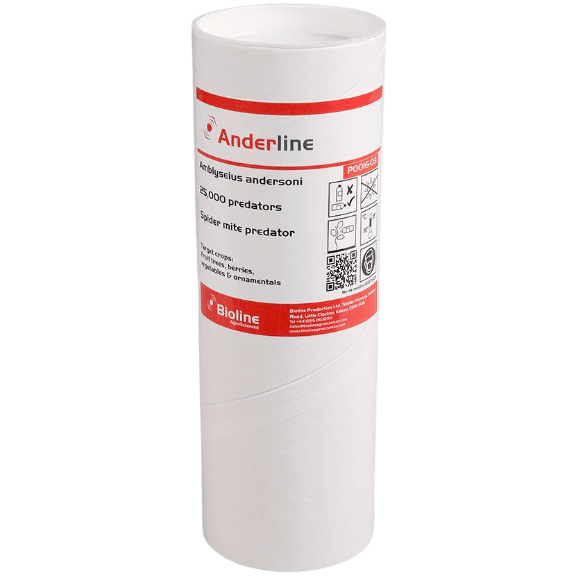 Anderline - Amblyseius Andersoni Tube 25 000 (Araignée rouge et blanche)