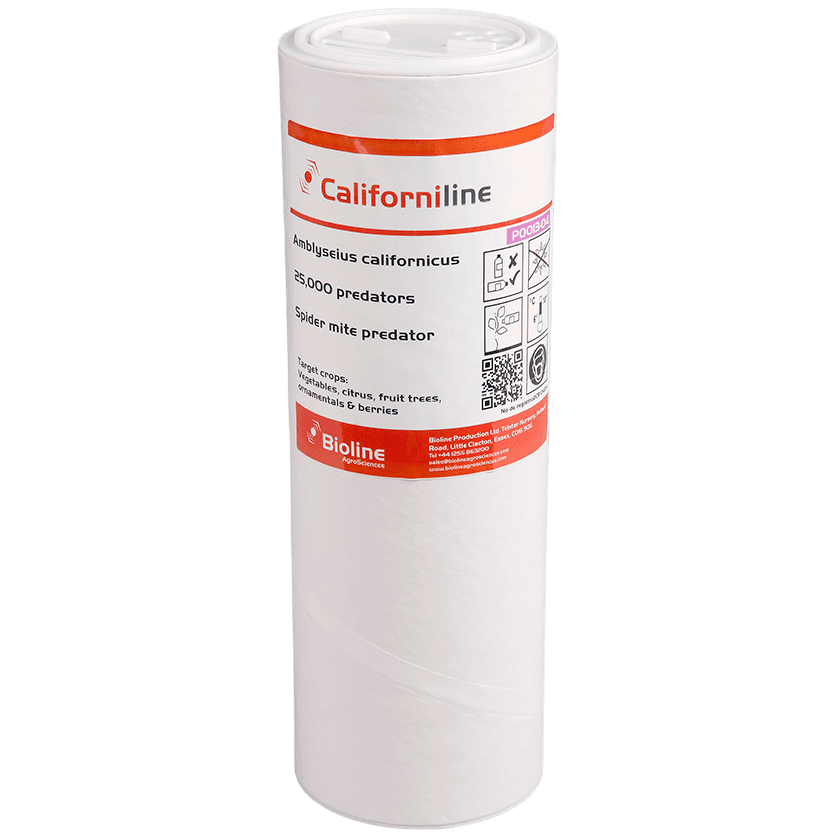 Californiline - Bateau 25 000 Individus - Amblyseius californicus (Araignée Rouge)