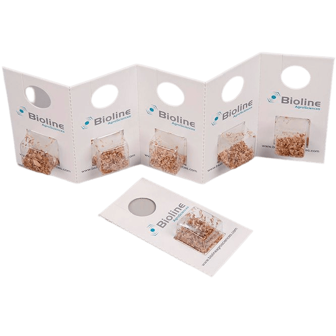 Eretline - 60 Cartes - 3 000 Individus - Eretmocerus eremicus (Araignée blanche de serre et pomme de terre)