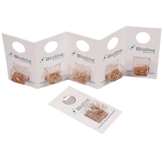 Eretline - 20 Ampoules - 5 000 Individus - Eretmocerus eremicus" (Mouches Blanches Serres et Pomme de Terre)