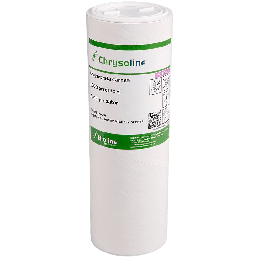 Chrysoline - Tube - 1 000 Individus - Chrysoperla carnea (Puceron)