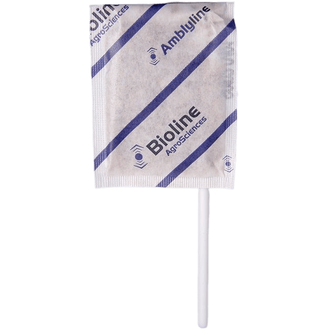 Amblyline - Bran-vermiculite - 500 Enveloppes Stick - 125 000 Individus - Amblyseius cucumeris (Thrips)
