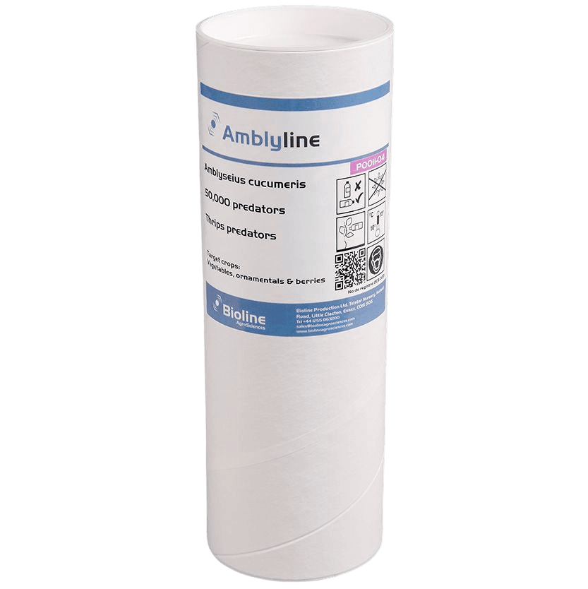 Amblyline - Bran-vermiculite - Tube - 50 000 Individus - Amblyseius cucumeris (Thrips)