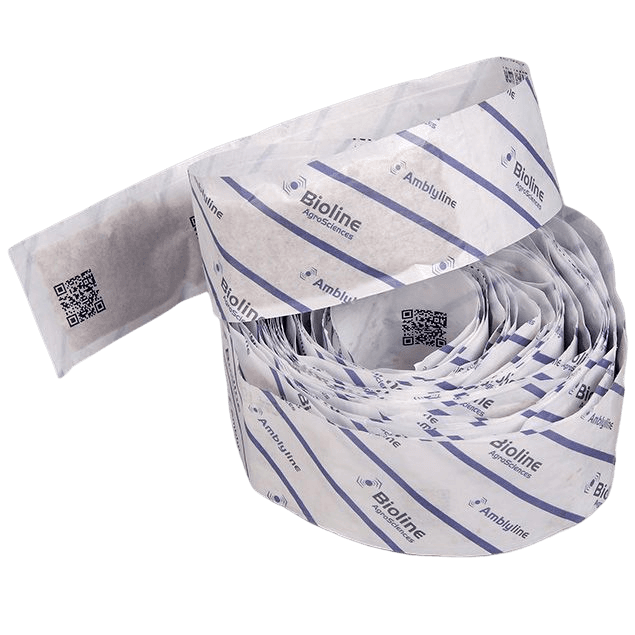 Amblyline - Bran-vermiculite - Bugline - 6 bandes x 100 m - 1 000 000 Individus - Amblyseius cucumeris (Thrips)