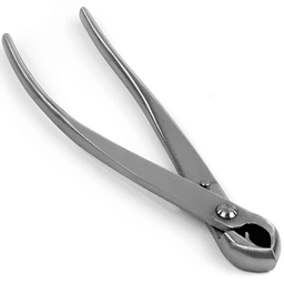 Dingmu Concave Scoop (poli) (1)