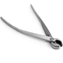 Dingmu Concave Scoop (poli) (2)