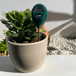 Humidimètre pour sol Meliflor (4)