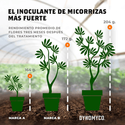 Dynomyco Micorrizas 750gr (2)