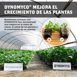Dynomyco Micorrizas 750gr (4)