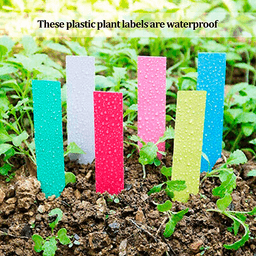 Etiquette PVC Tip 2x12cm (500 unités) (3)
