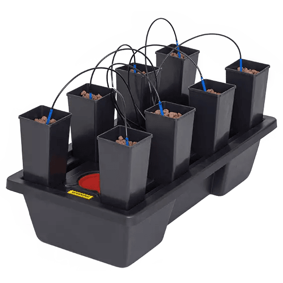 Wilma Mini 8 (1,65L)