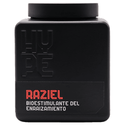 The Hype Company Raziel (Enracinement Solide) 1Kg (2)