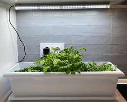 Meliflor TLed Kitchengrow 26W 6600K + Aimants + Minuterie (3)