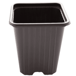 Pot Carré Noir Eco (1)