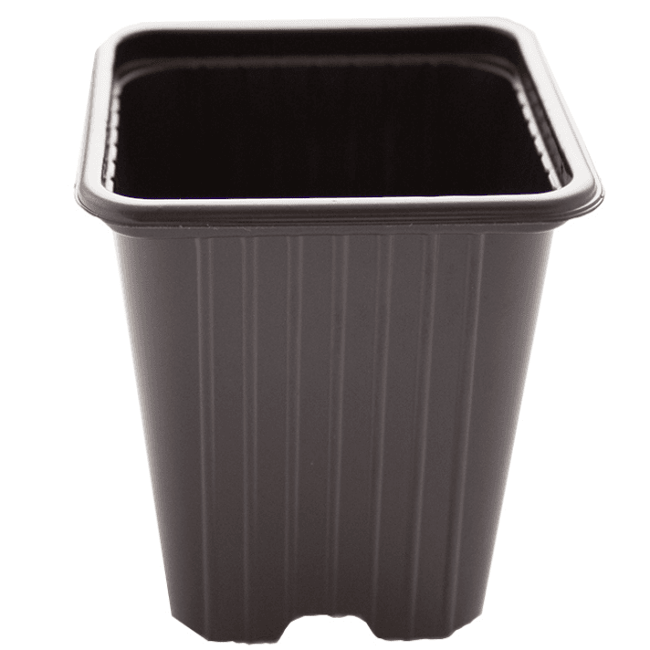 Pot Carré Noir Eco