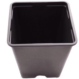 Pot Carré Noir Eco (2)