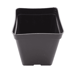 Pot Carré Noir Eco (1)