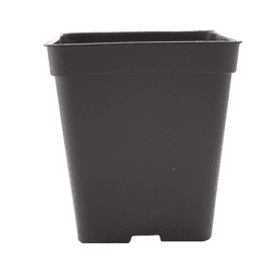 Pot Carré Noir Eco (2)