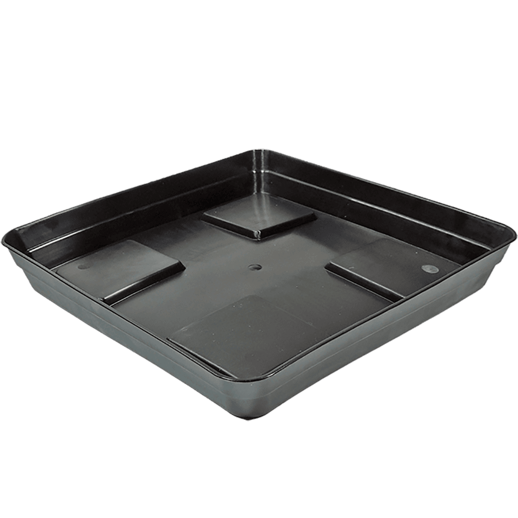 Assiette carrée noire Eco avec support