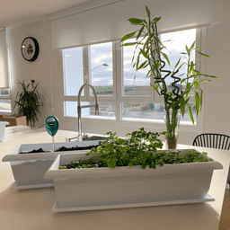 Kit de démarrage Meliflor Garden Kitchen (3)