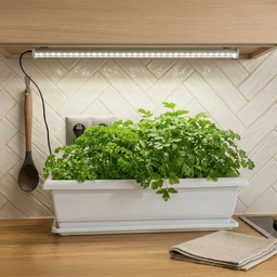 Kit de démarrage Meliflor Garden Kitchen + Éclairage (3)