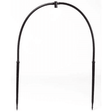 Black Spider 60cm 1 Sortie