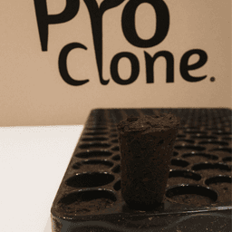 Pro-Clone Plateau 150 Alvéoles Semillas/Esquejes (Boîte 8Und) (3)