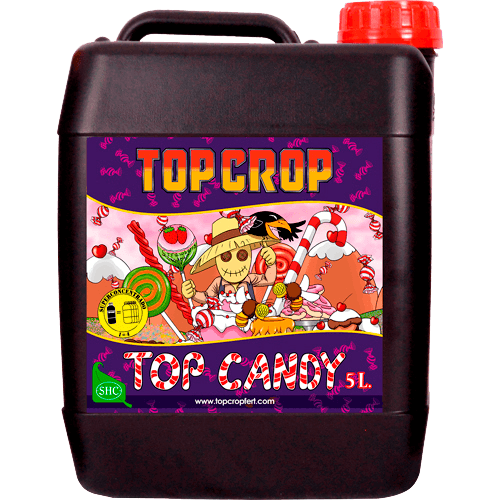 Top Crop Top Candy