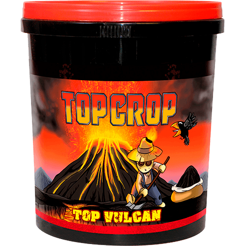 Top Crop Top Vulcan (Lave Farine)