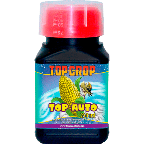 Top Crop Top Auto