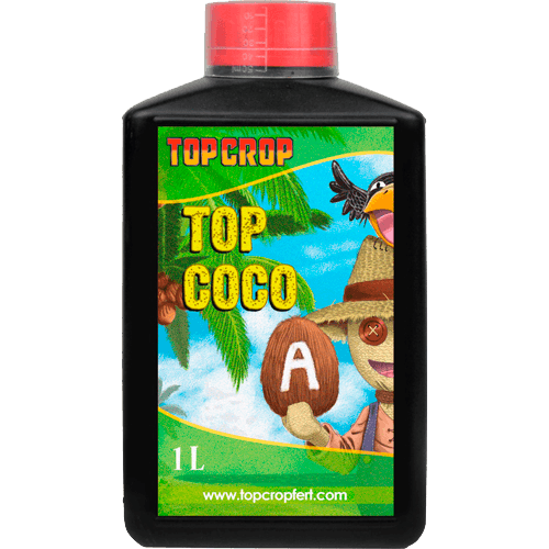 Top Crop Top Coco A