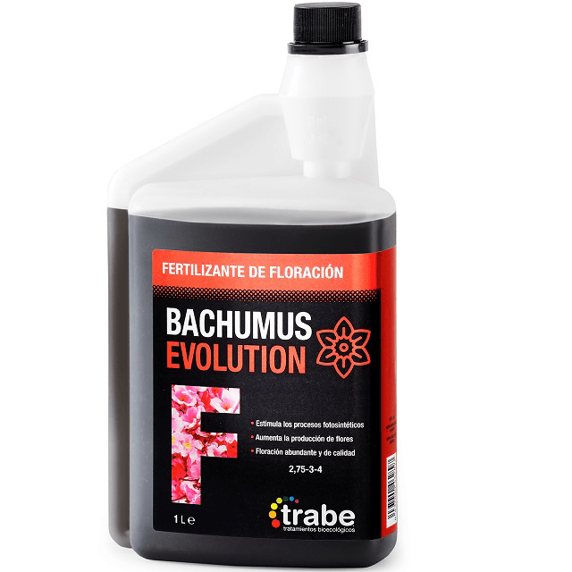 Trabe Bachumus Evolution Floración 1L