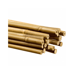 Tuteur Bambou 180cm 12-14mm (250Und) (2)