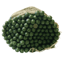Meliflor Tuteur métallique creux plastifié vert (100 pcs) (2)