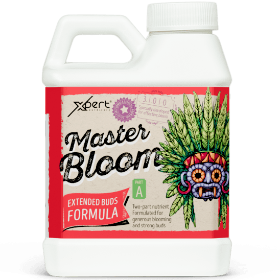 Xpert Nutrients Master Bloom A+B