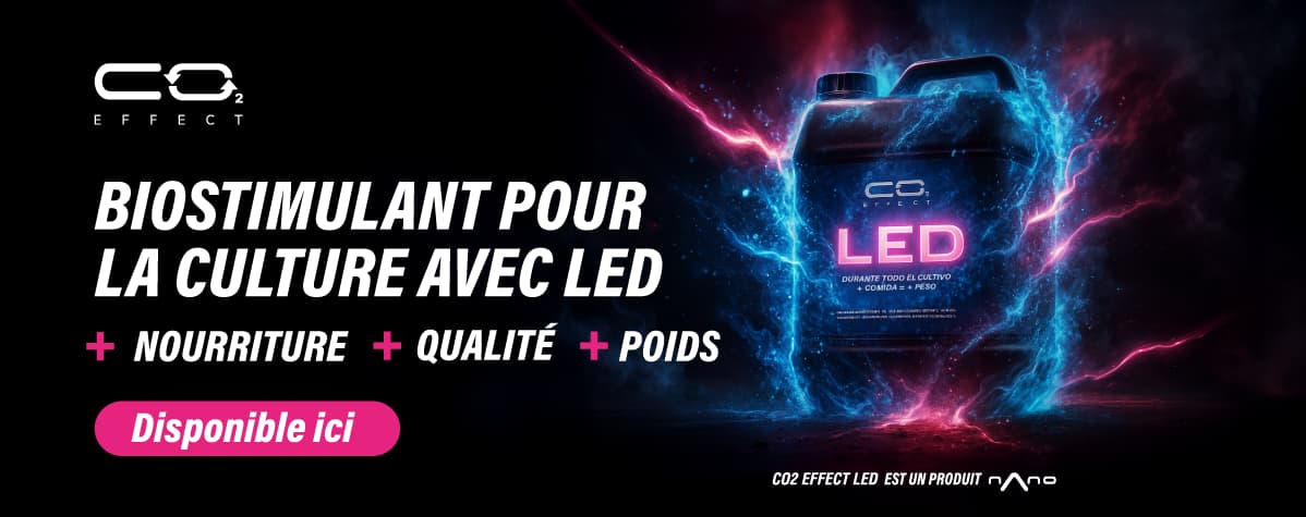 Co2 Effect Led