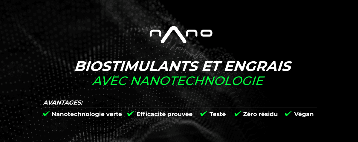 Nano - Marcas