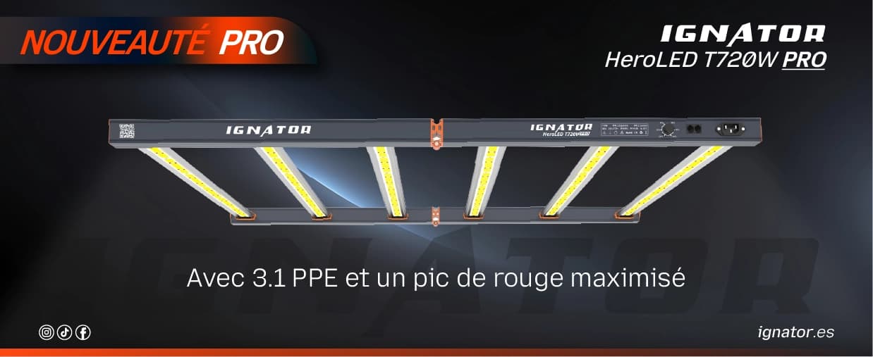 Ignator HeroLED T720W PRO 3.1PPE